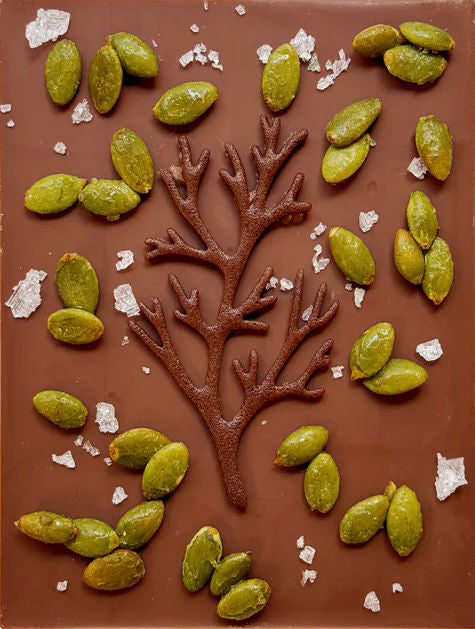 Soma Spark of JOY Milk Chocolate with caramel & wildflower honey-roasted pumpkin seeds